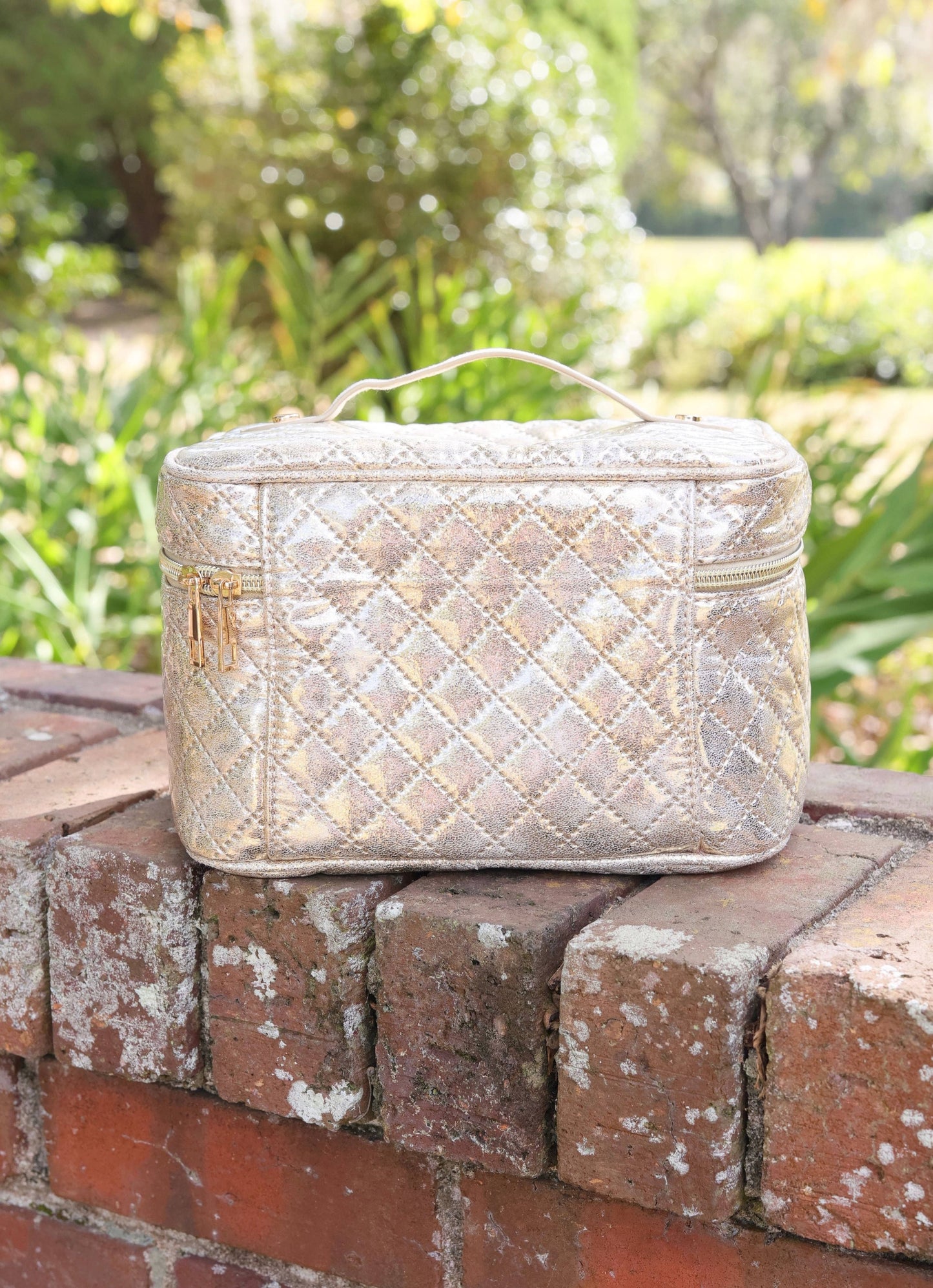 Hampton Train Case (Champagne Pop)