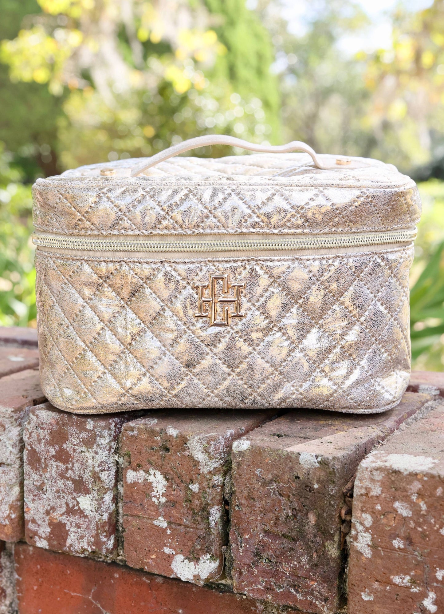 Hampton Train Case (Champagne Pop)
