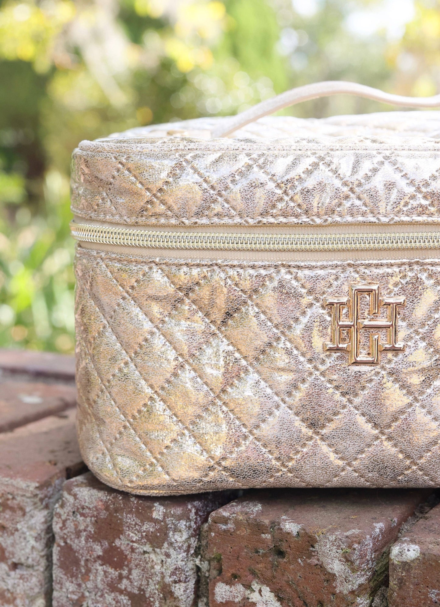Hampton Train Case (Champagne Pop)