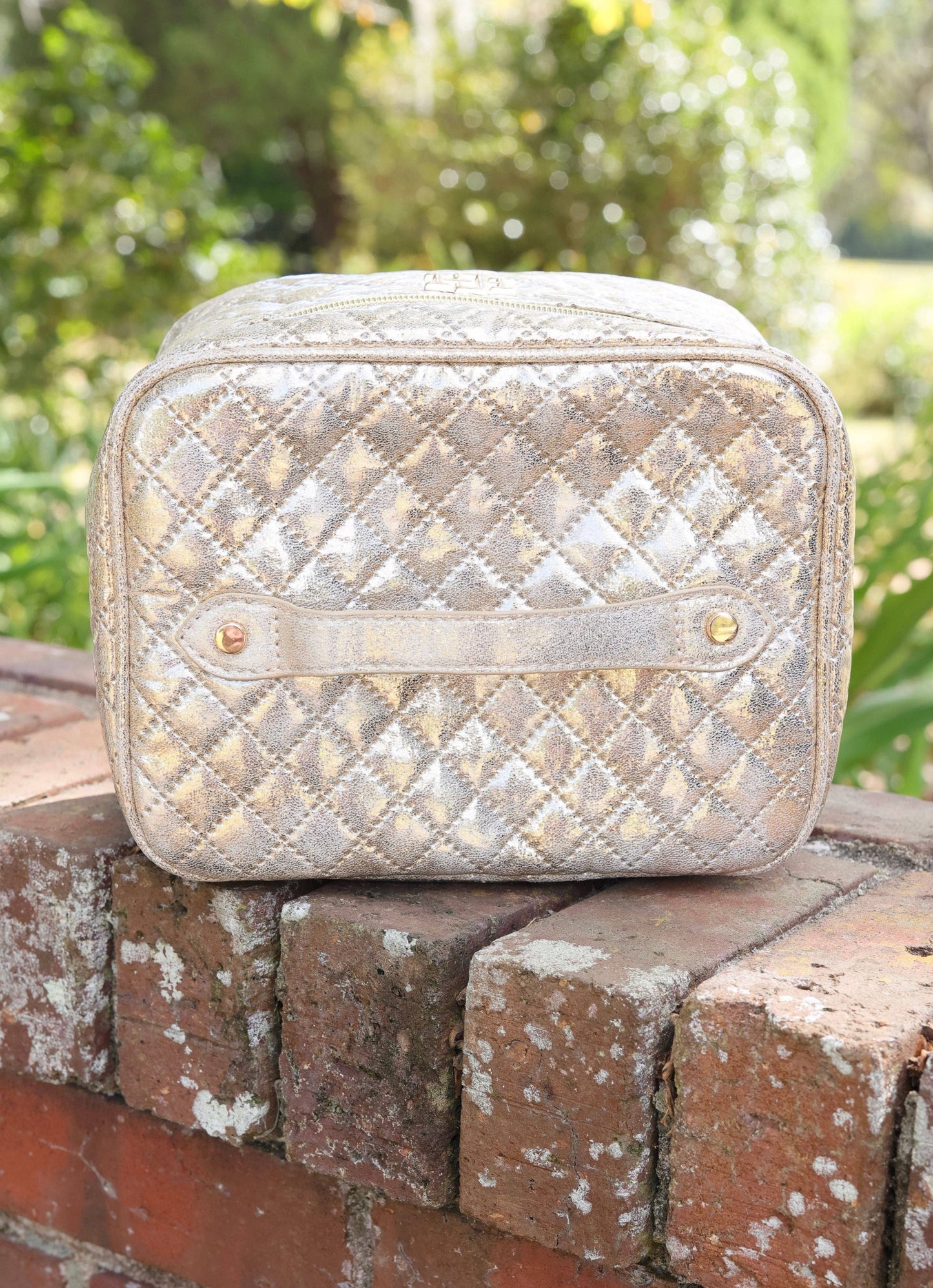Hampton Train Case (Champagne Pop)