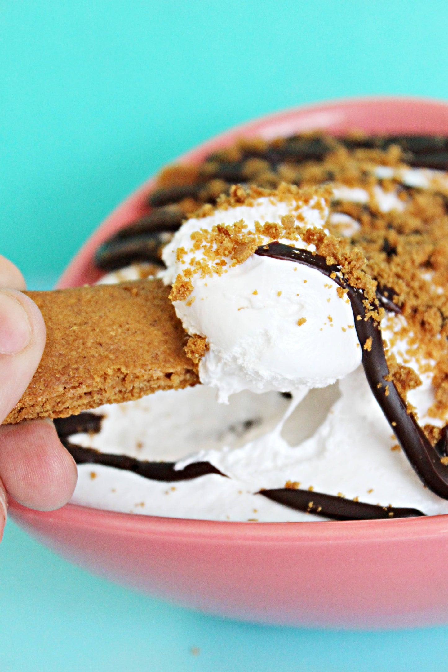 Gimme Gimme S’More Ooey Marshmallow Goodness