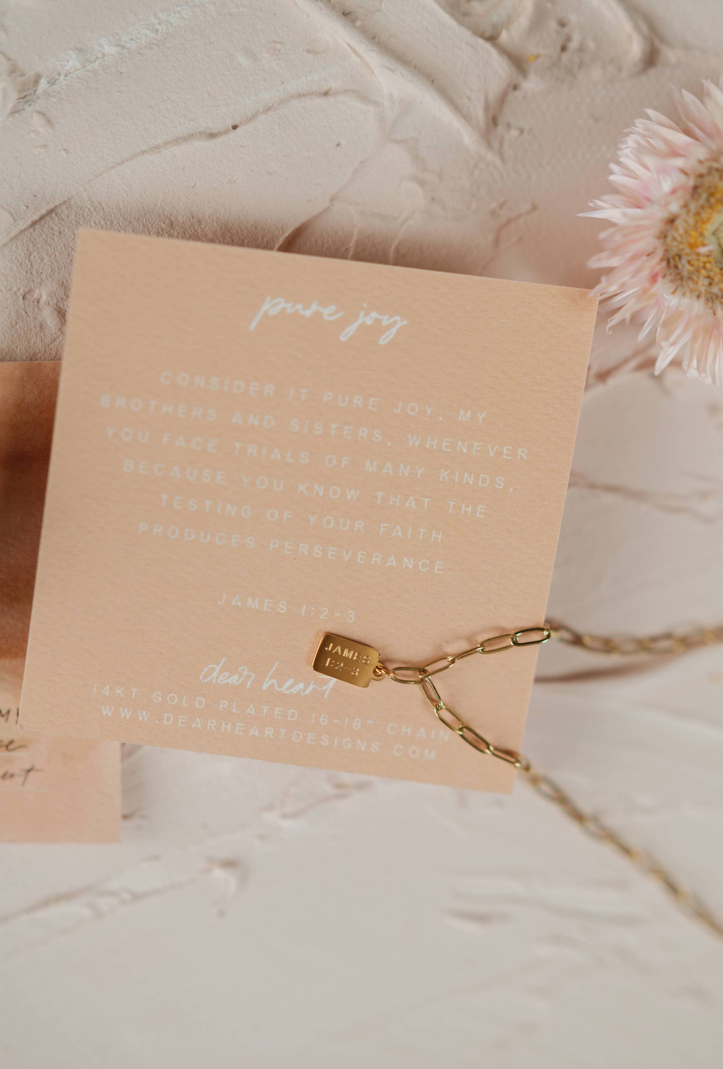 Pure Joy Mini Tag Necklace